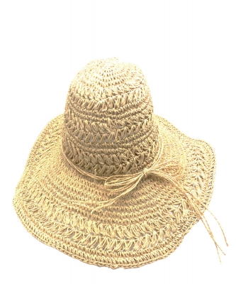Wide Brimmed Floppy Hat  HA300279 LT